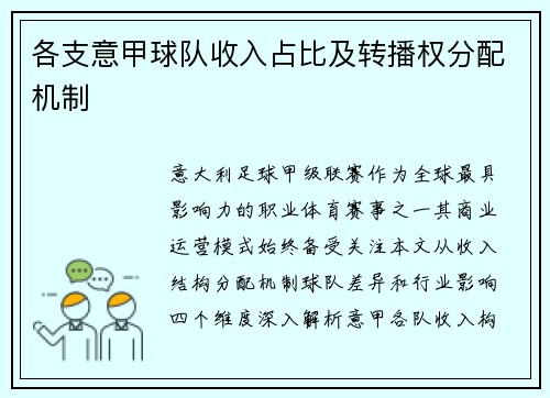 各支意甲球队收入占比及转播权分配机制